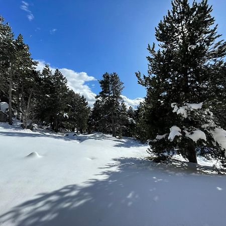 Joli Studio Pres De La Foret Font-Romeu-Odeillo-Via Εξωτερικό φωτογραφία